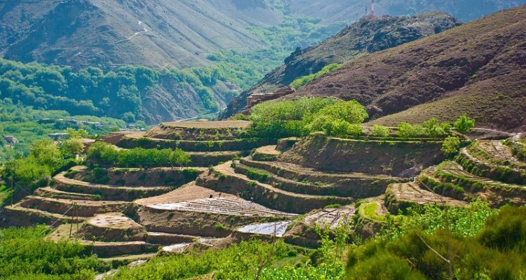Randonnée dans le Haut Atlas : Villages, vallées et cols de Imi Oughlad à Imlil
