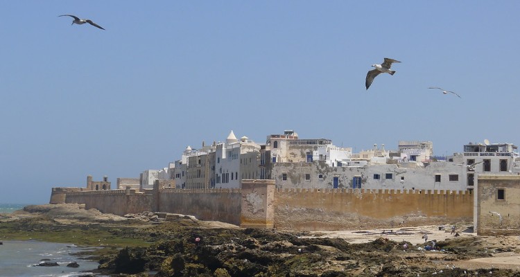Atlas et Atlantique : un trek entre montagnes berbères et plages sauvages