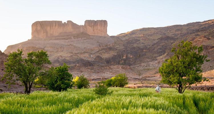 À la découverte du Djebel Saghro : Trek entre volcans, plateaux et cultures nomades