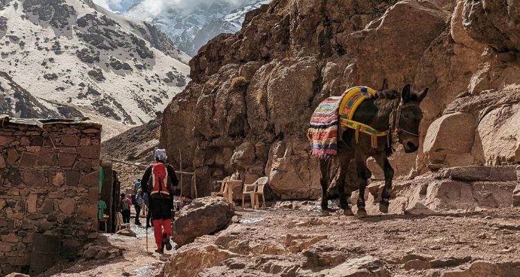 Randonnée  de 2 jours au massif du Toubkal